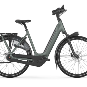 Gazelle - Grenoble C8+ - Twilight Green Mat