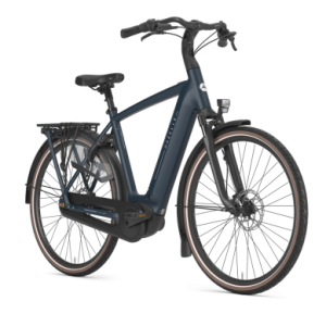 Gazelle - Grenoble C8 - Between Blue Mat